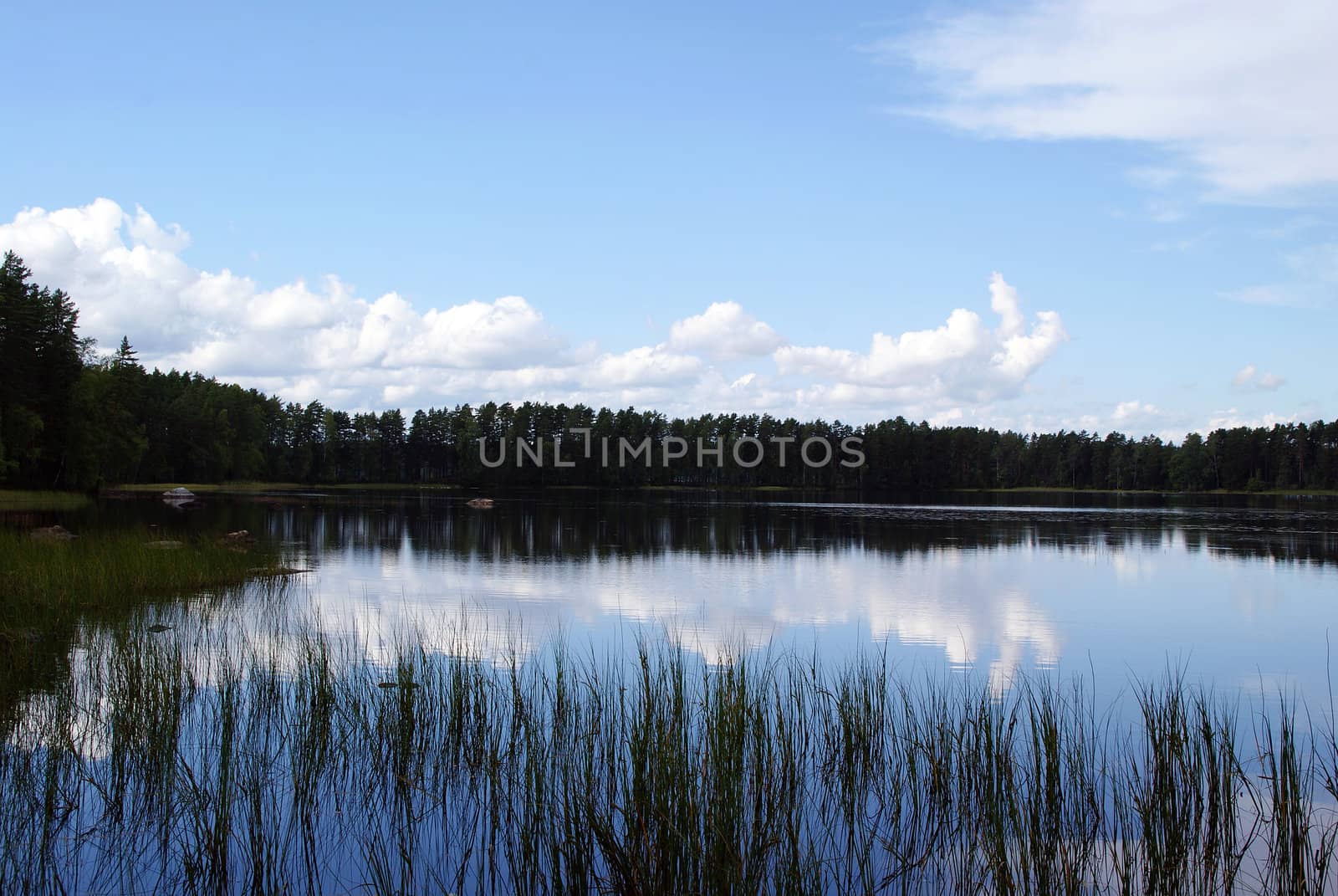 The blue moment in the evening at a quiet forest lake with reflections on the surface of the water. Photographed in Porras, Finland.