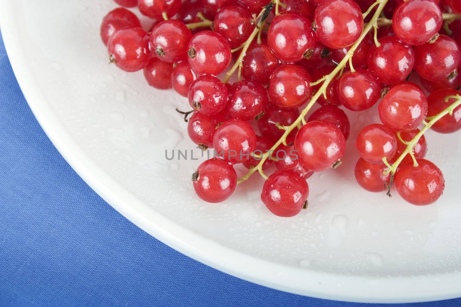 Close up of red currants on white plate with blue table cloth.