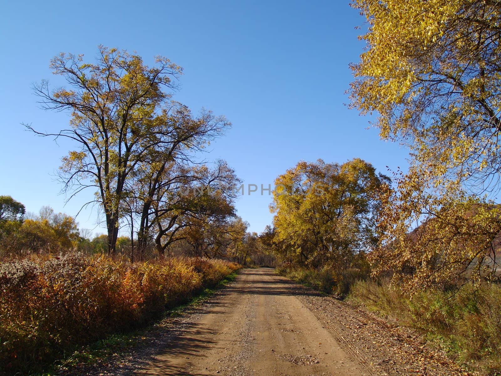 Autumn sunny day on a country road