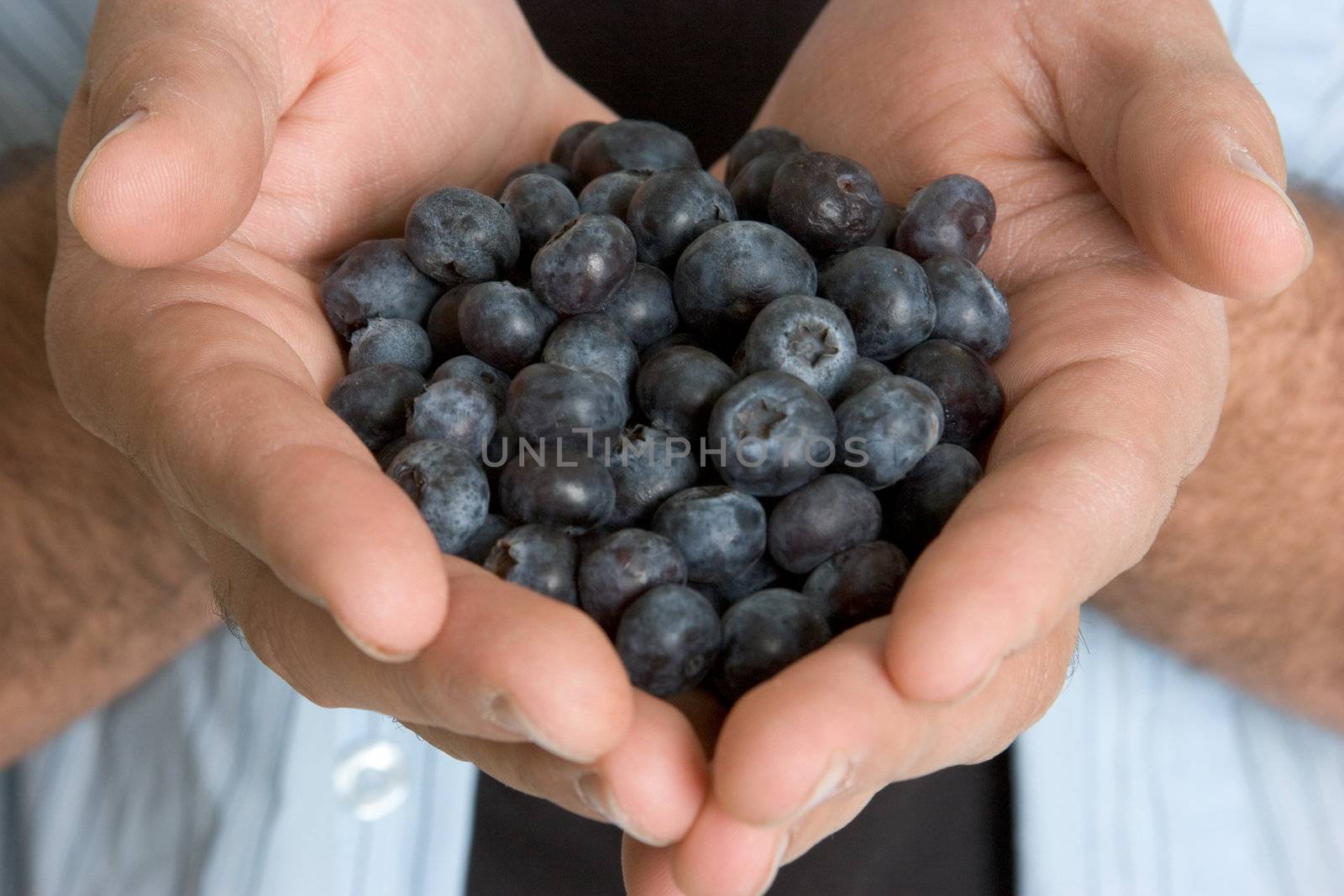 Hands Holding Blueberries by keeweeboy