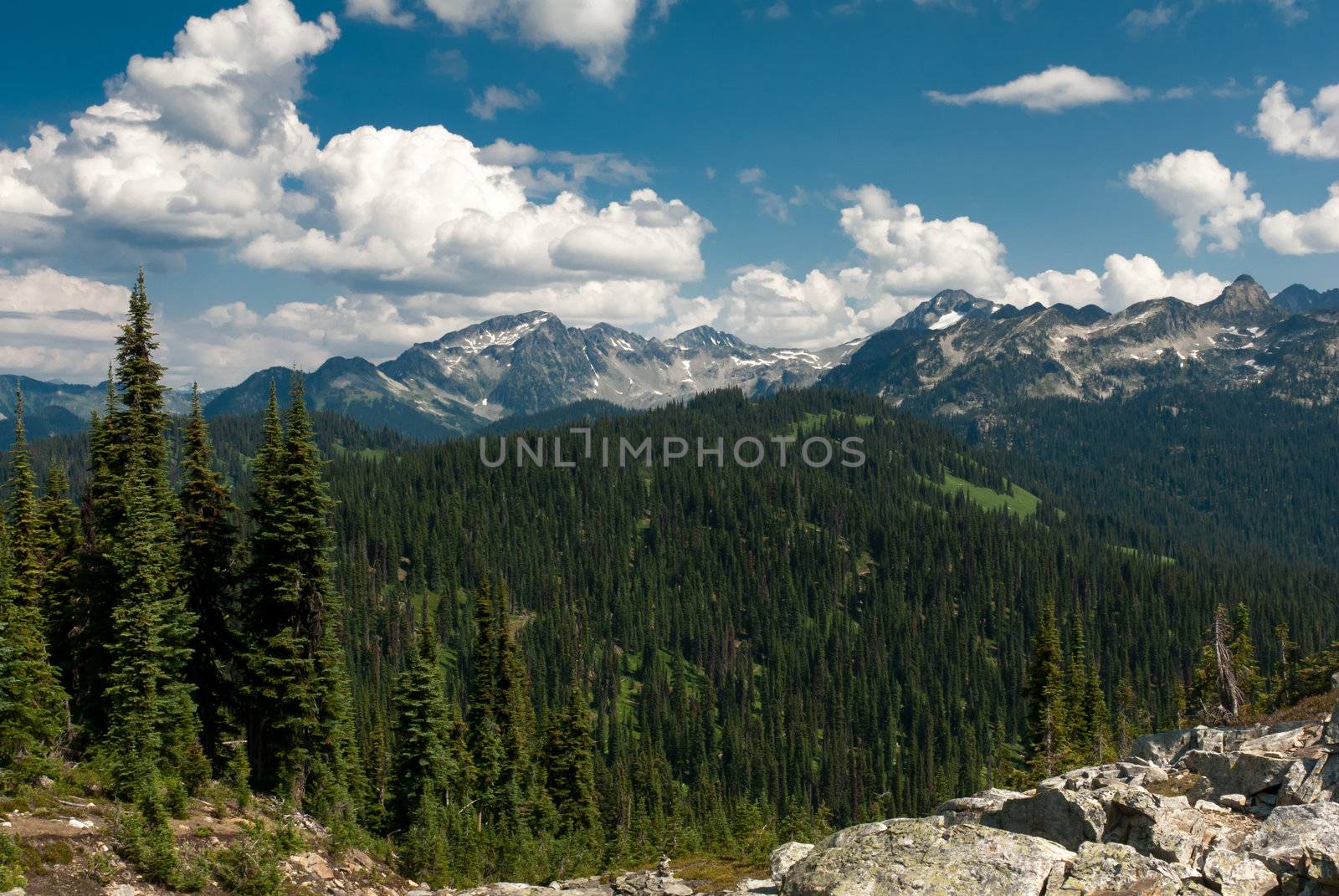 panoramic view from revelstoke mountain in bc canada