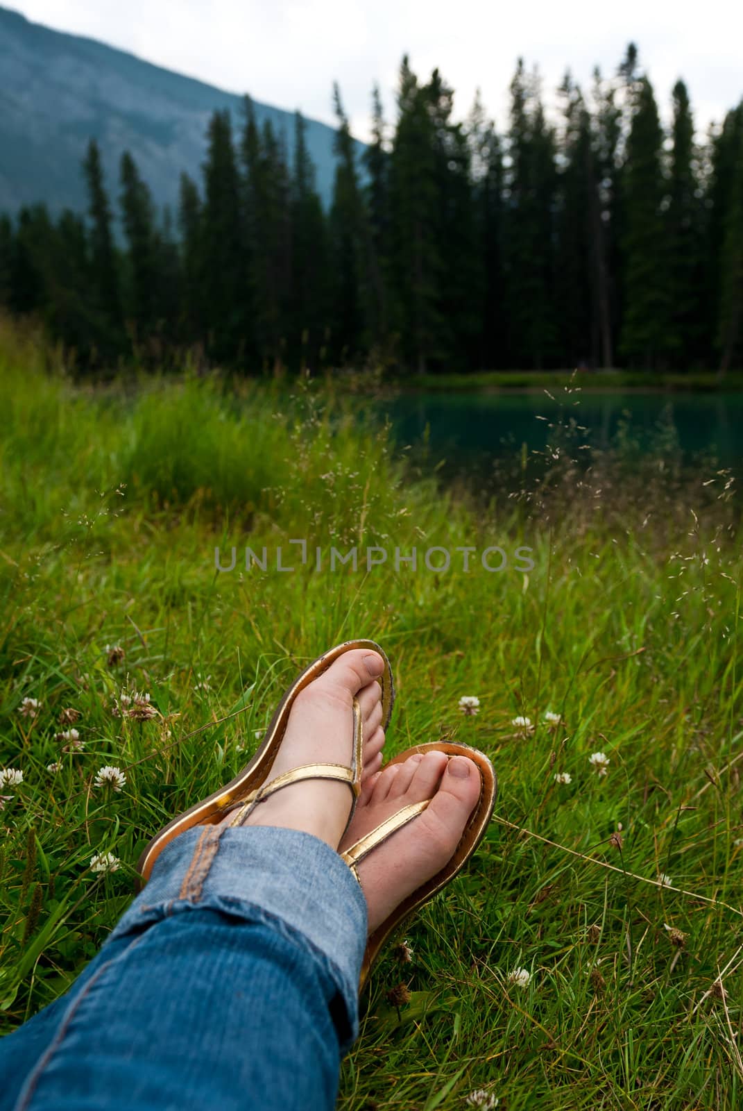 woman relaxing on the grass near a lake