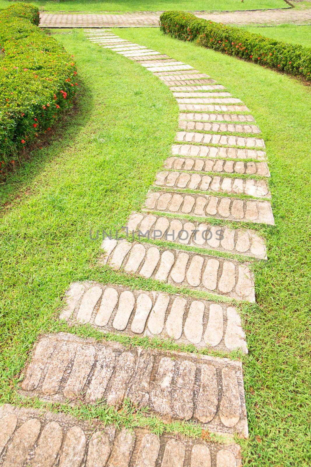 Stone steps of footpath in the park