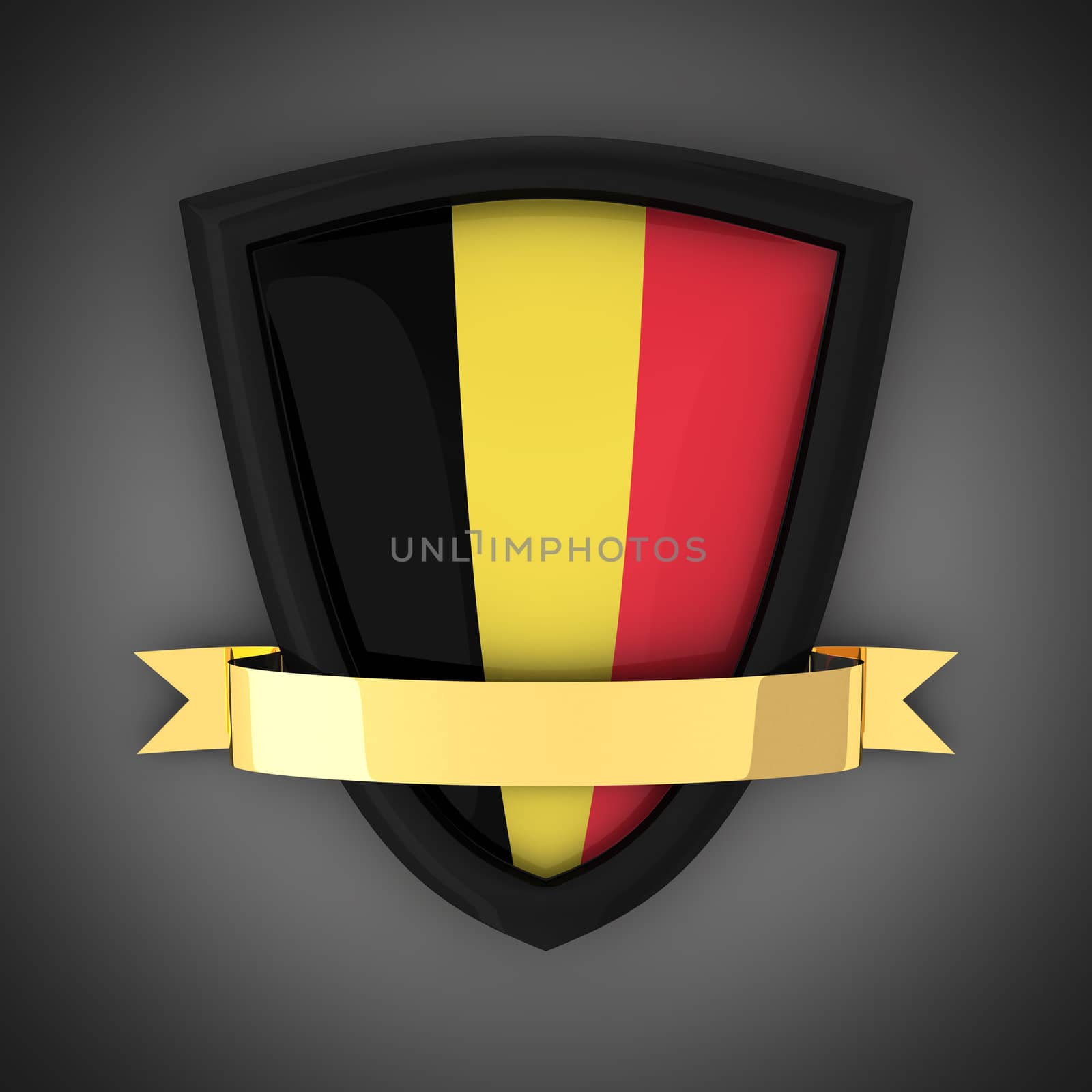 The shield in the colors of the flag of Belgium and gold ribbon
