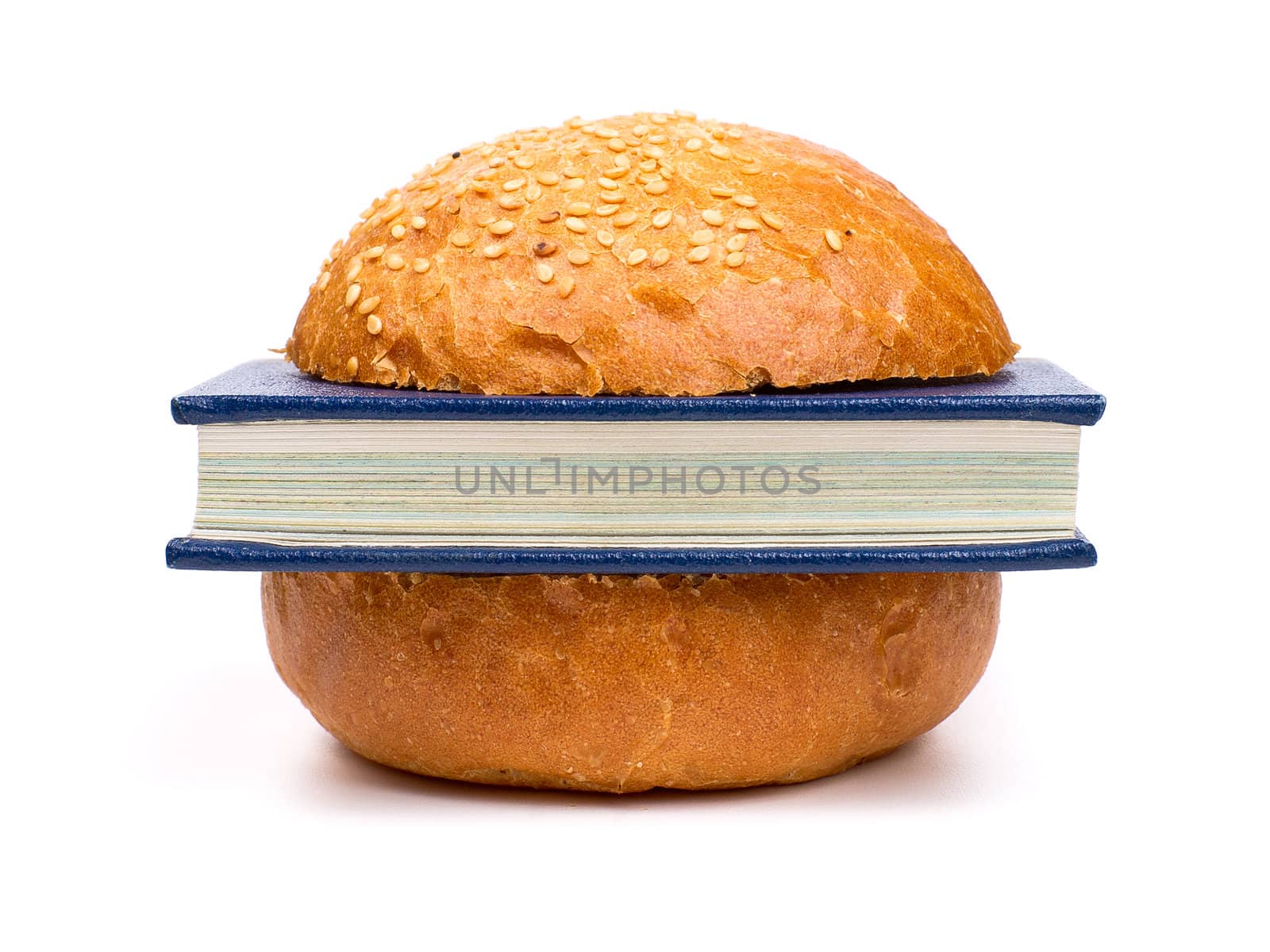 Sandwich with a book isolated on a white background