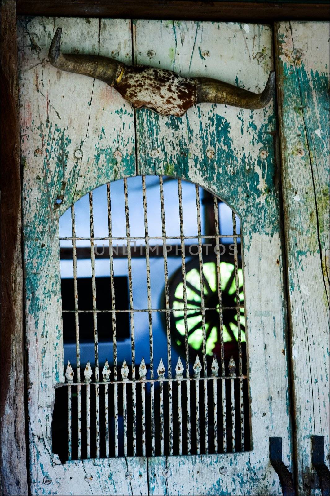 Old door. An old, shabby door in the thrown house.