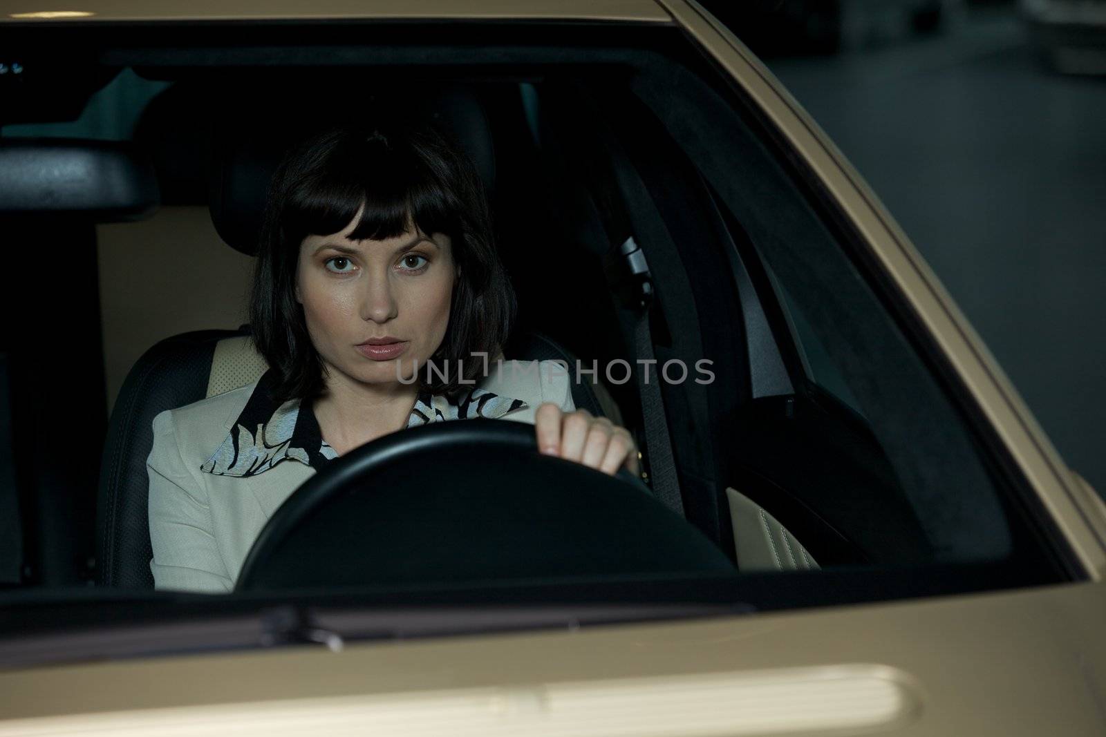 Young woman sitting in new car, portrait