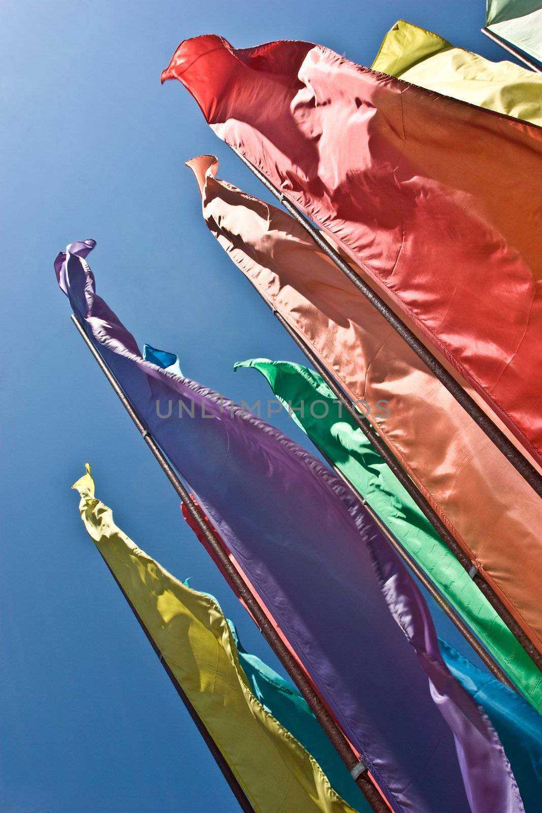 flag series: different colour flags over blue sky