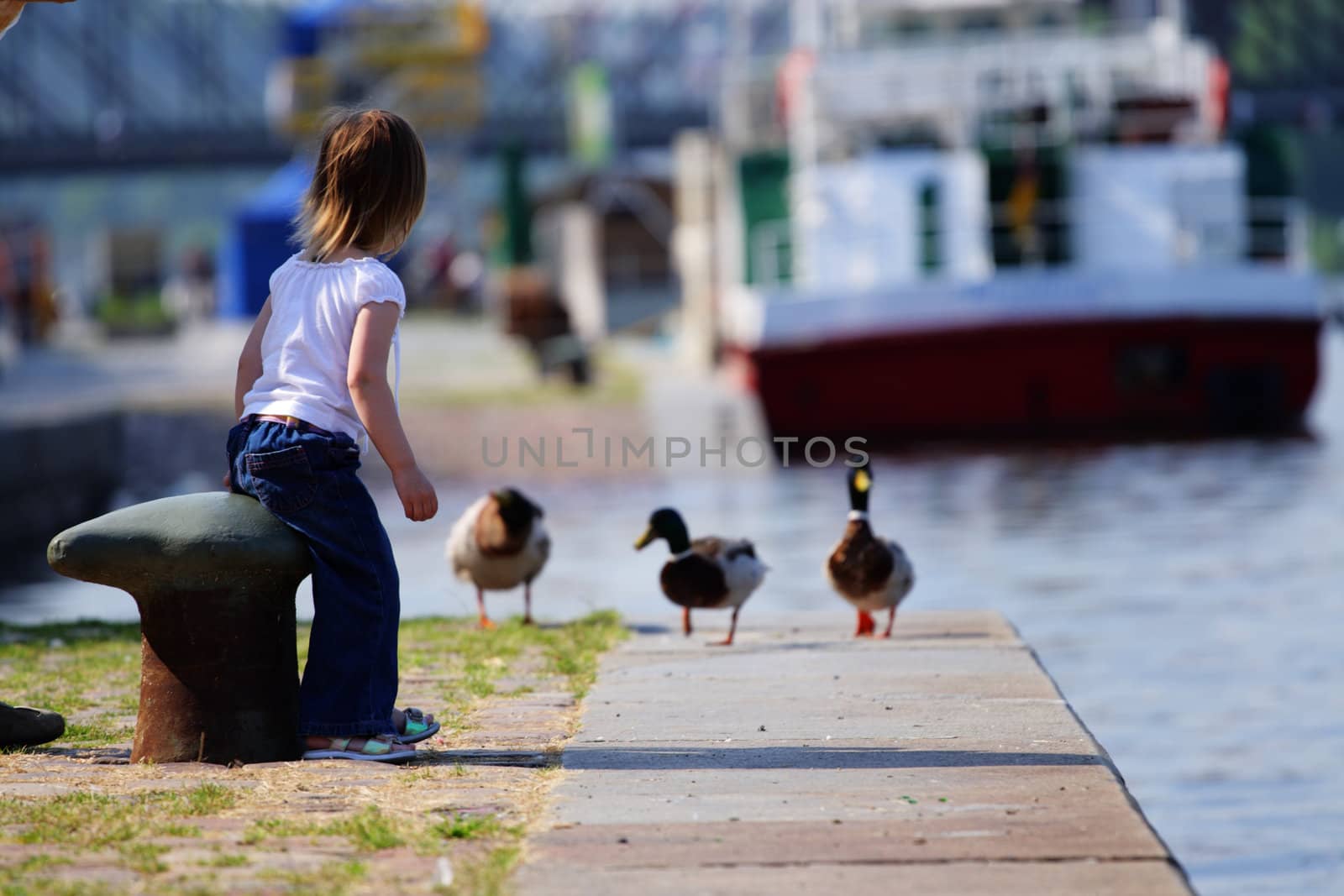 Little beauty girl feedind wild ducks at landing stage or river embankment at sunny day. She is wait for duck. We see ship not in fokus at background. Prague, Vltava.
