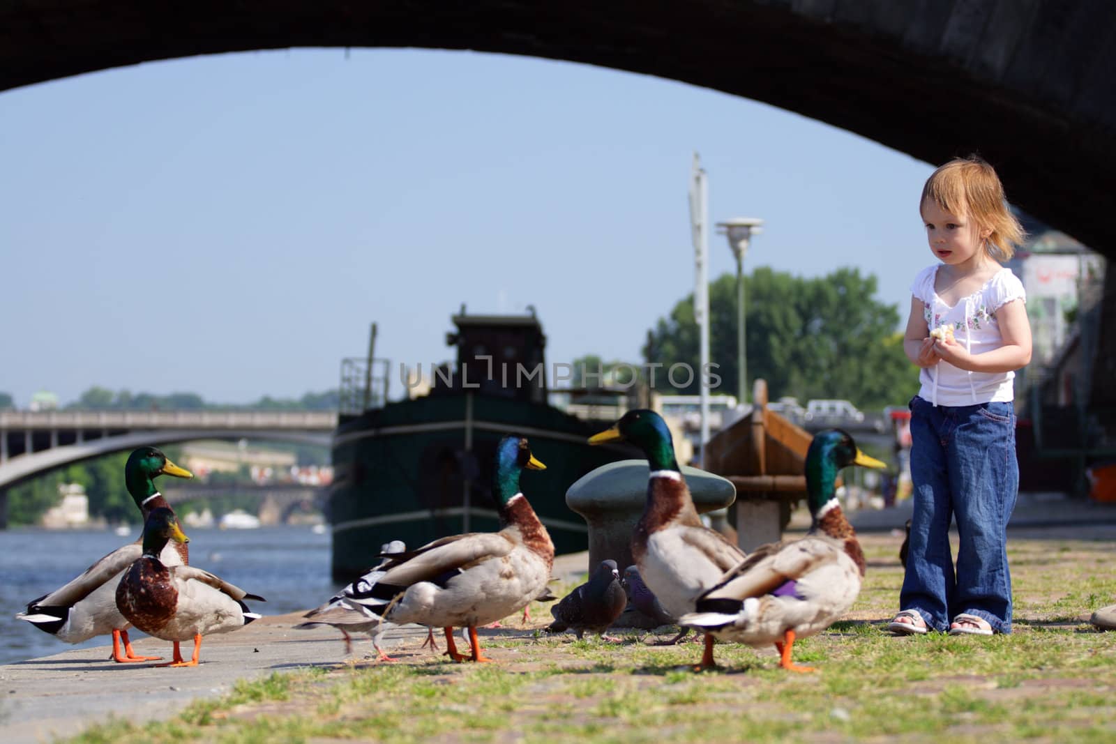 Little beauty girl feedind wild ducks by Dushenina