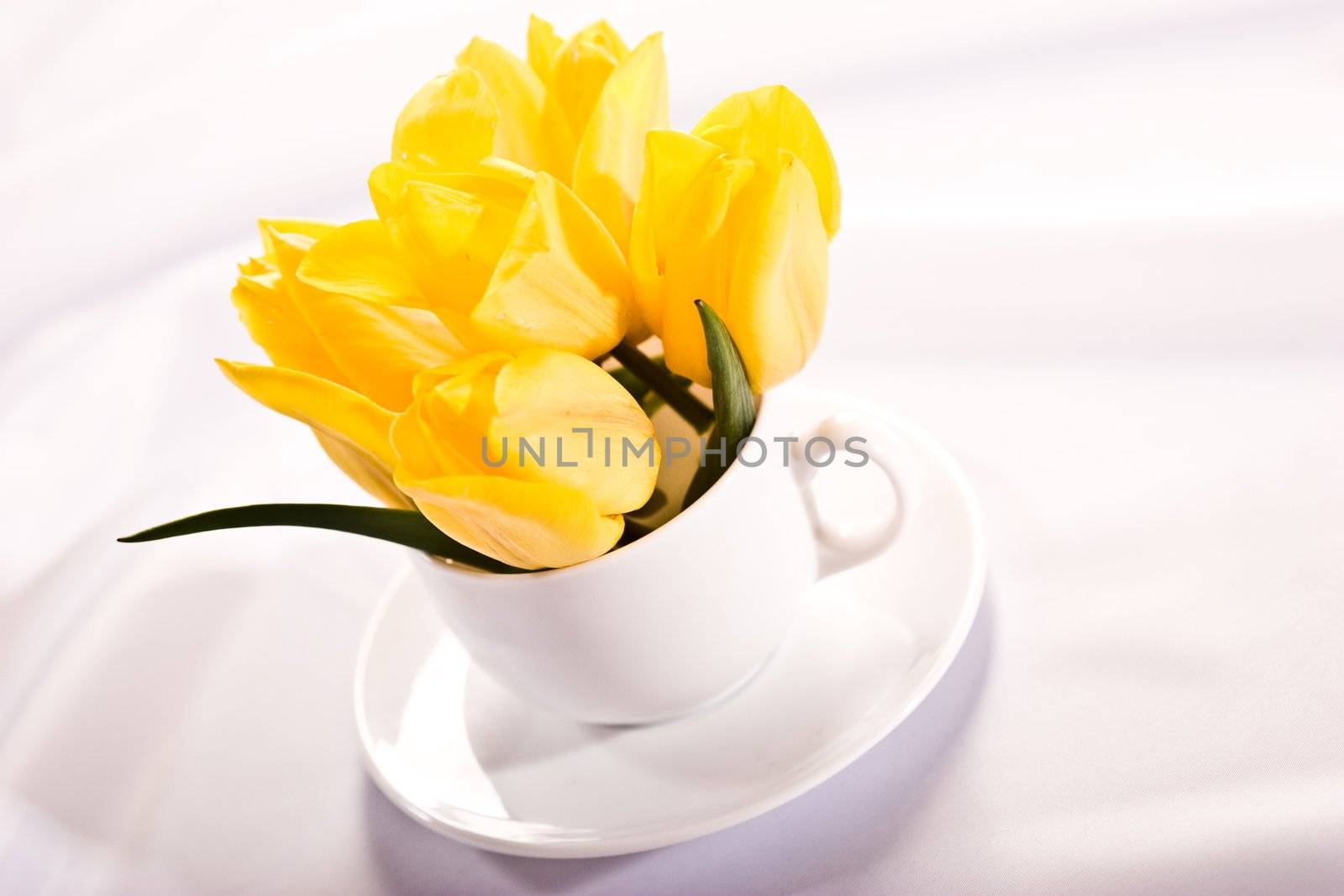 flower series: yellow tulips bouquet in the tea cup