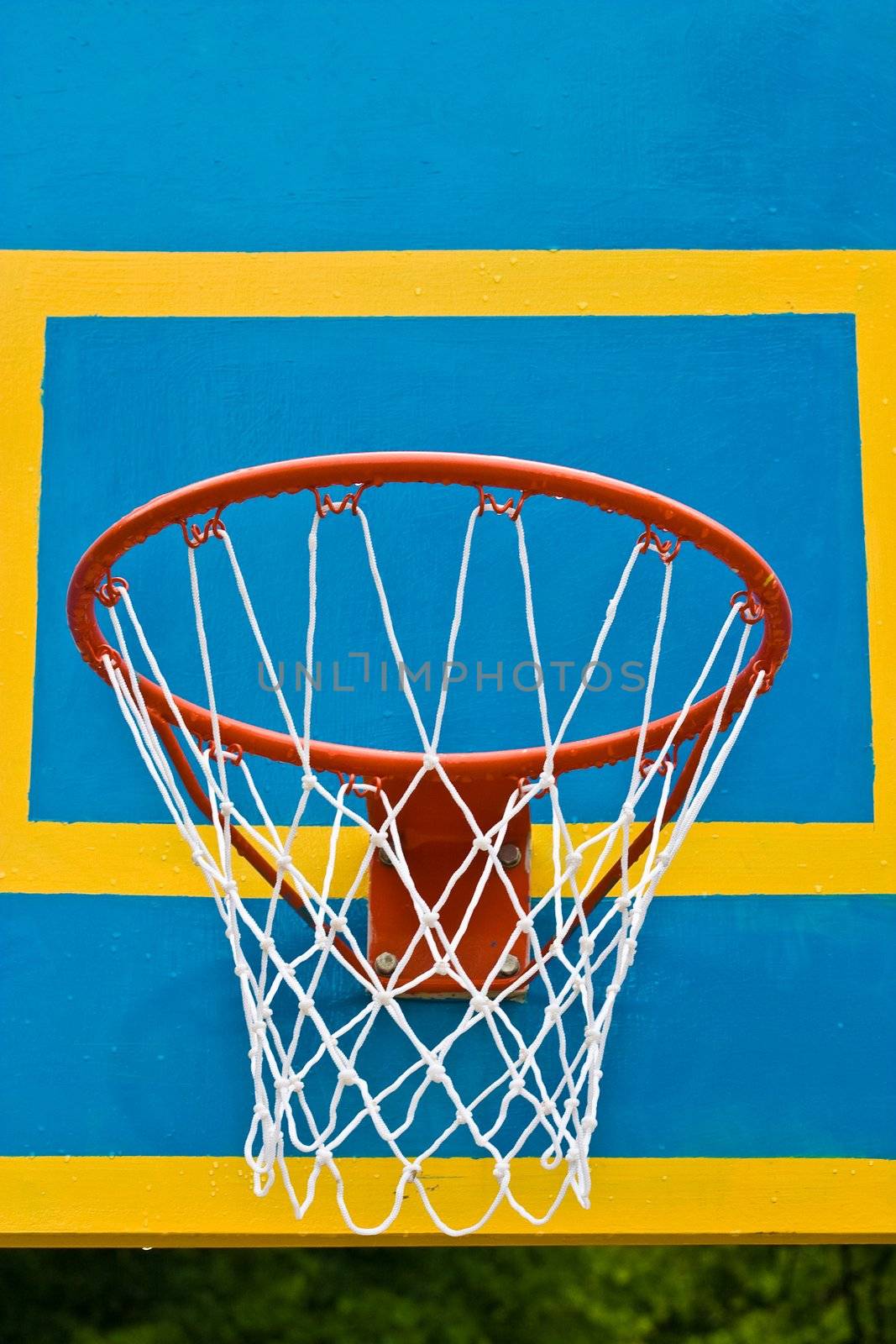 sport series: basket for the basketball game