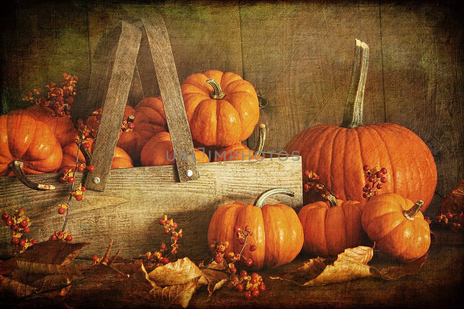 Colorful pumpkins with dark wood background