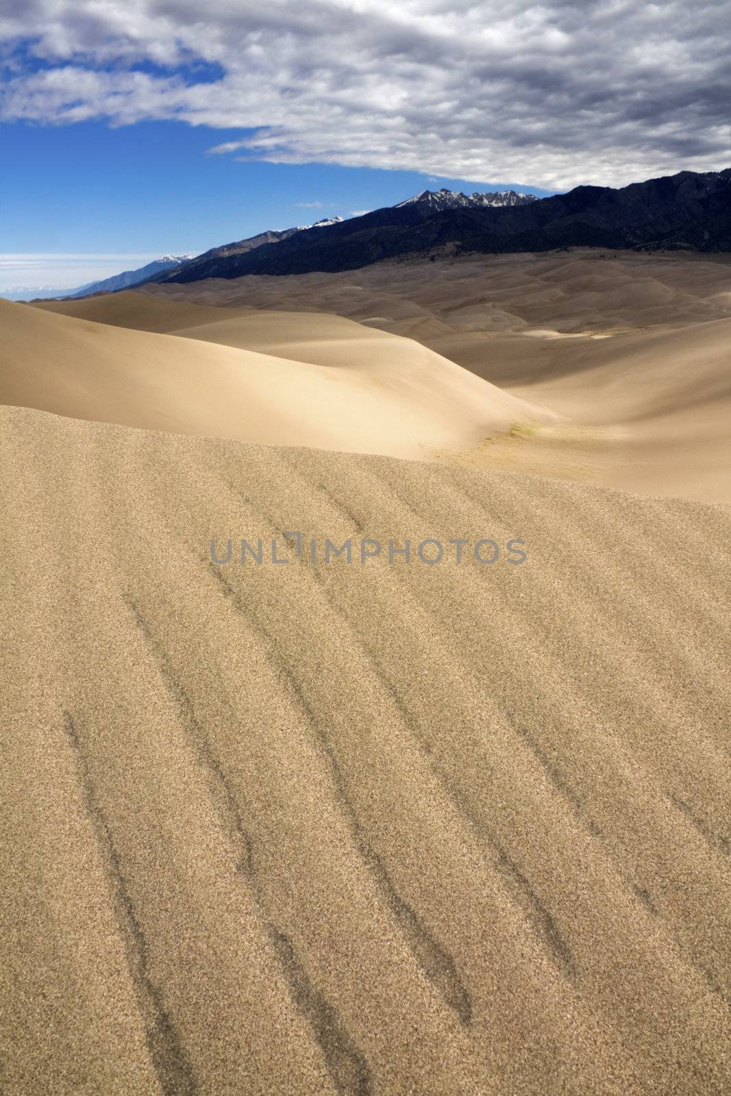 Dunes - Great Sand Dunes National Park, Colorado.