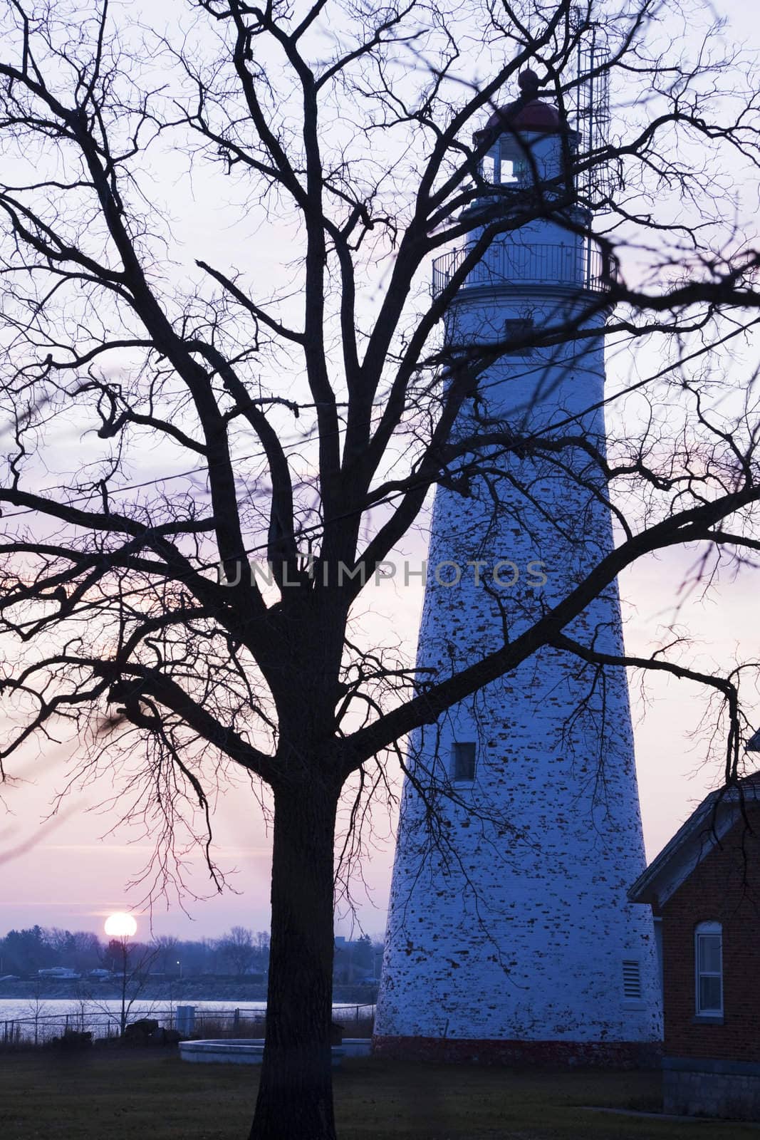Tree, Fort Gratiot Lighthouse and sunrise - Michigan, Illiniois.