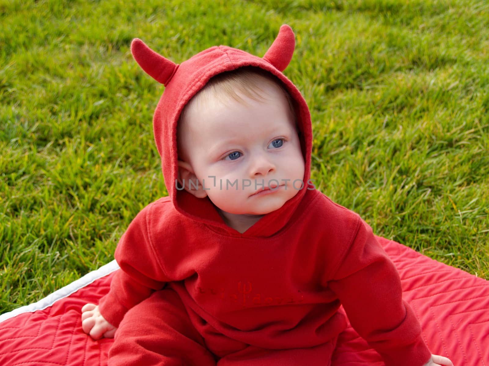 Little Devil