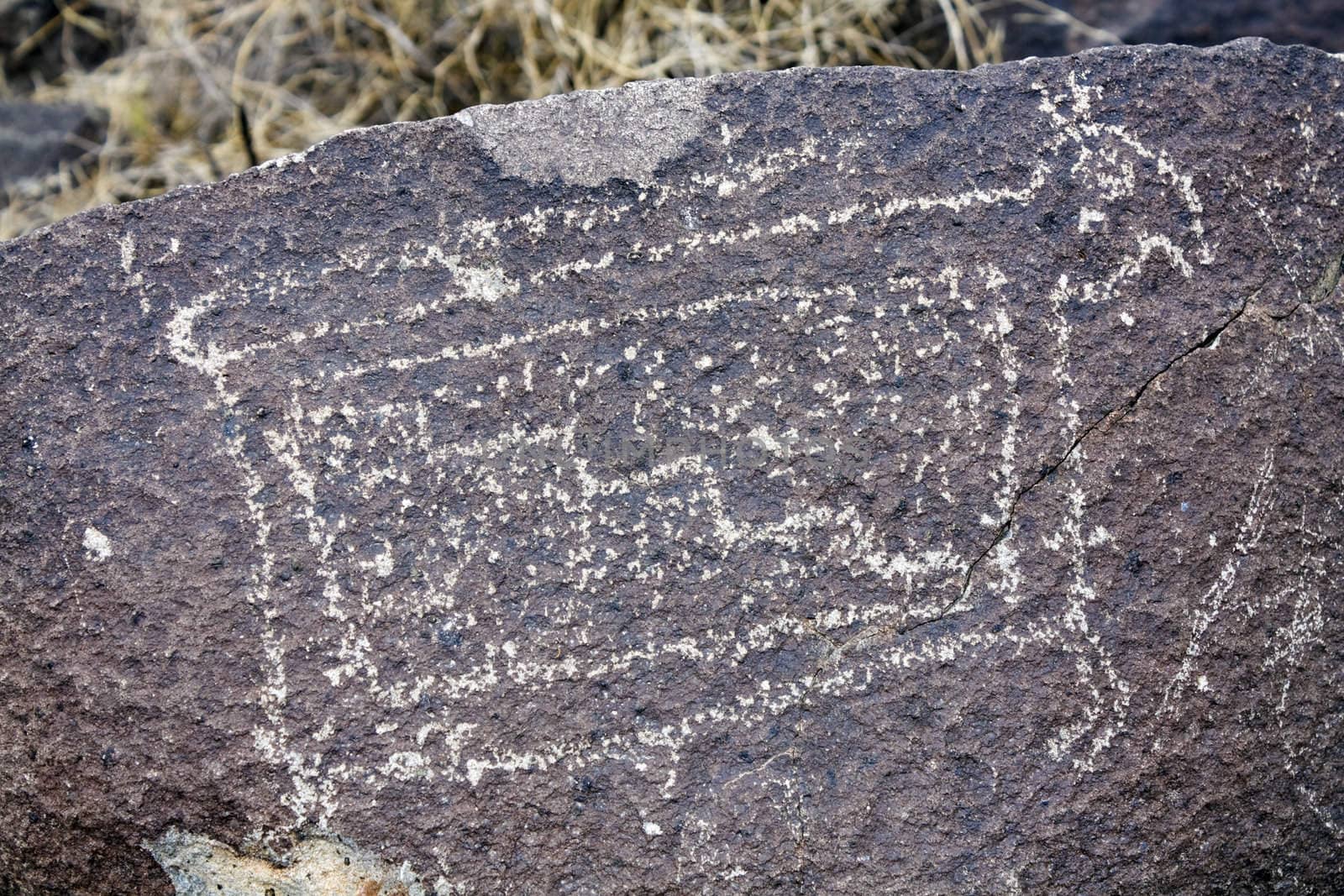 Cow- Three Rivers Petroglyph Site