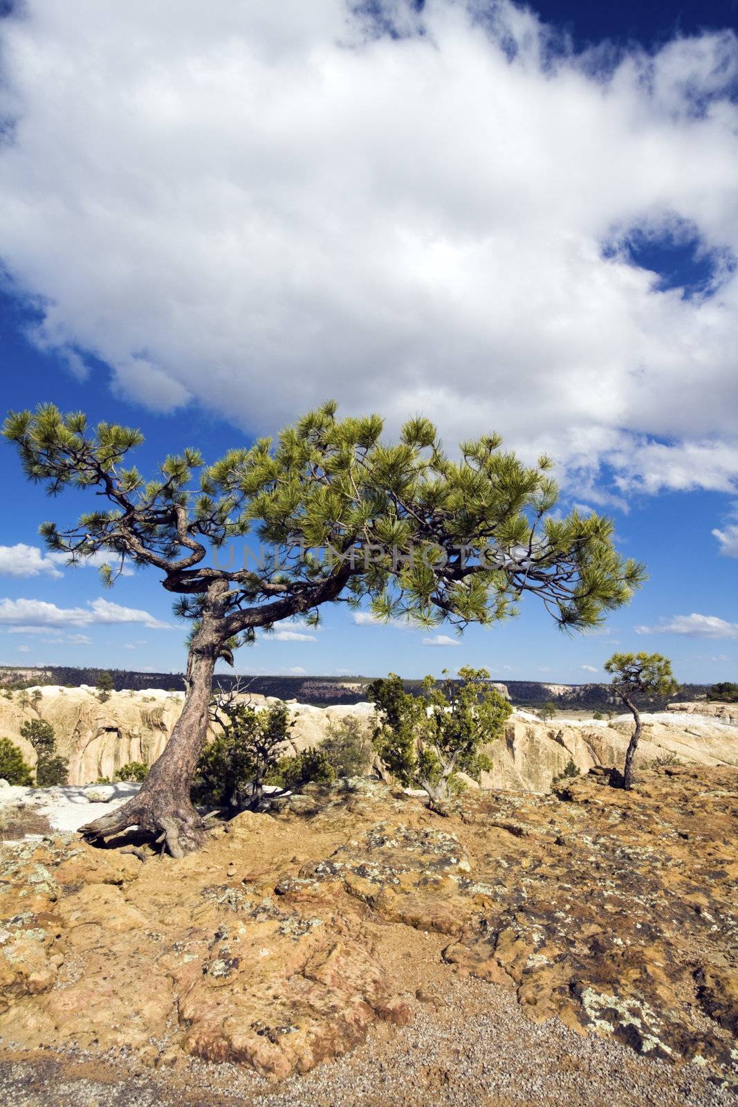 El Morro National Monument, New Mexico