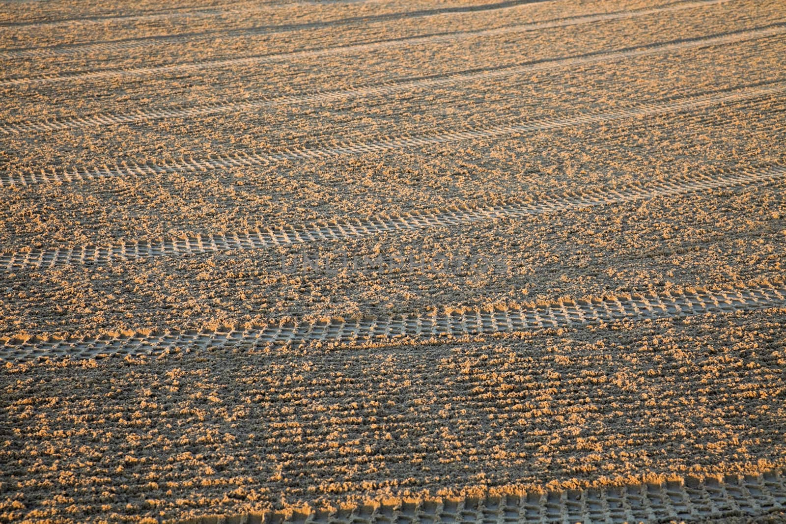 Volleyball field on the beach cleaned in the morning - seen in Chicago by Lake Michigan.