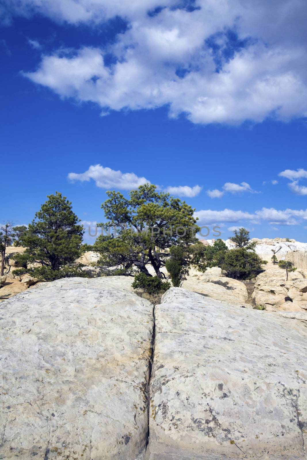 Cheecks Rock in El Morro National Monument, New Mexico.