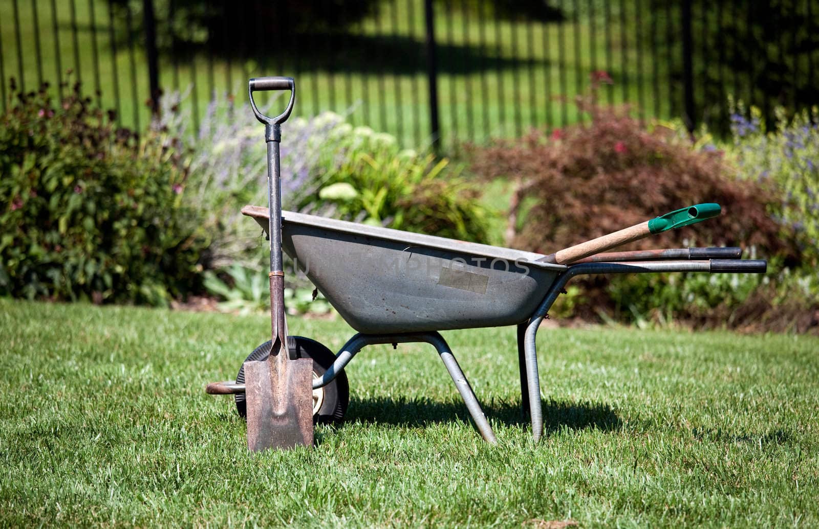 Wheelbarrow and spades by steheap