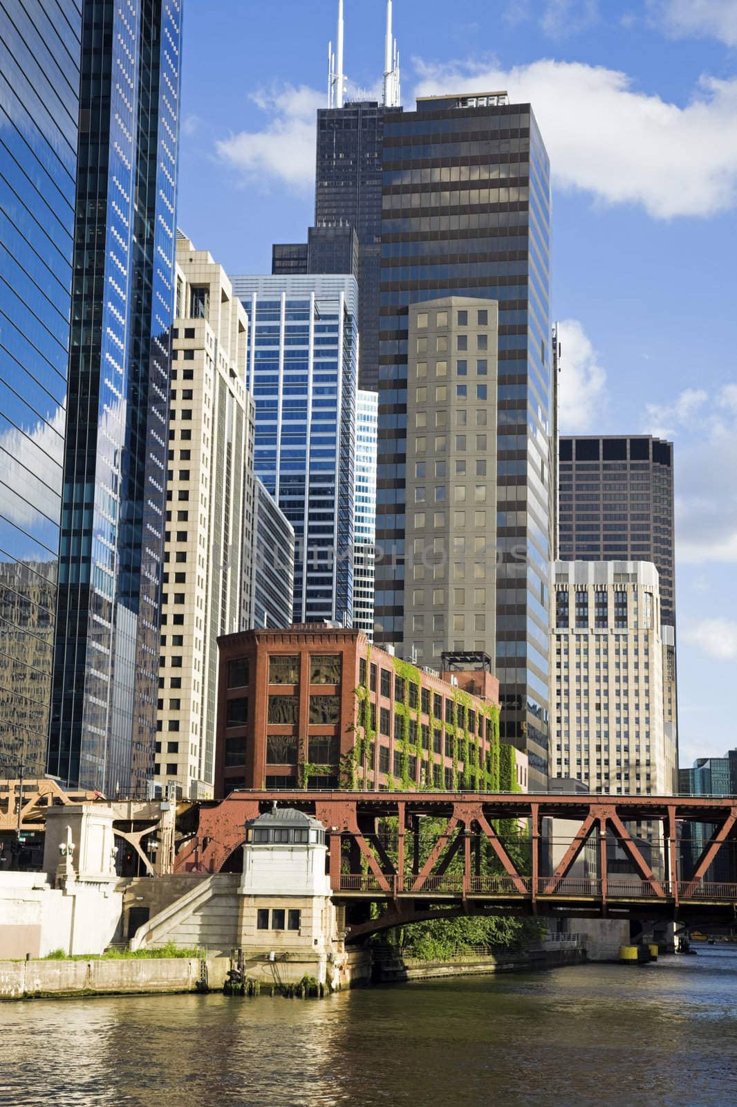 Buildings along Chicago River - summertime.