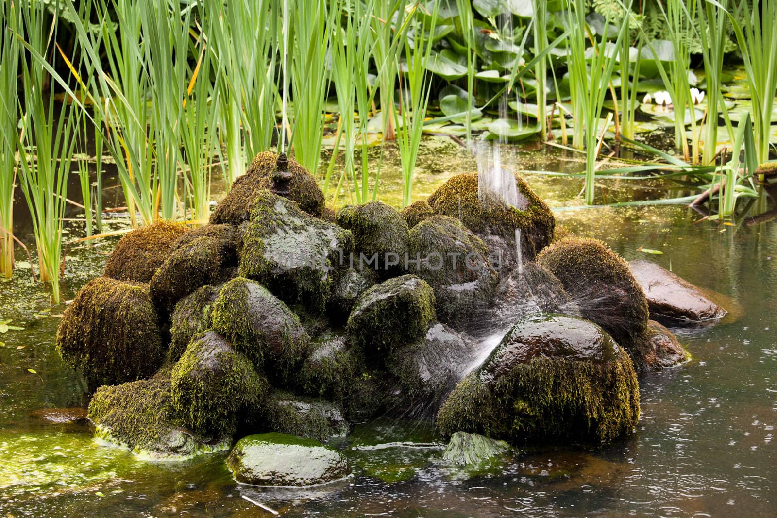 Mossy rocks at foot of fountain in small lake