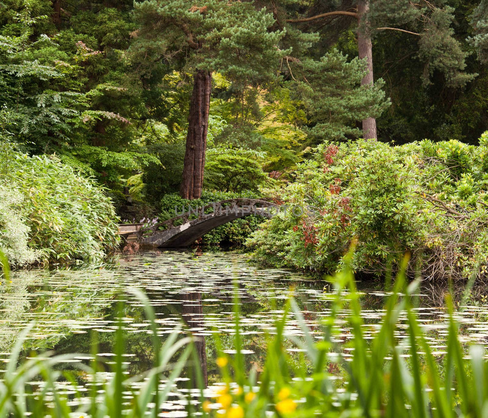 Ornate bridge in Japanese garden