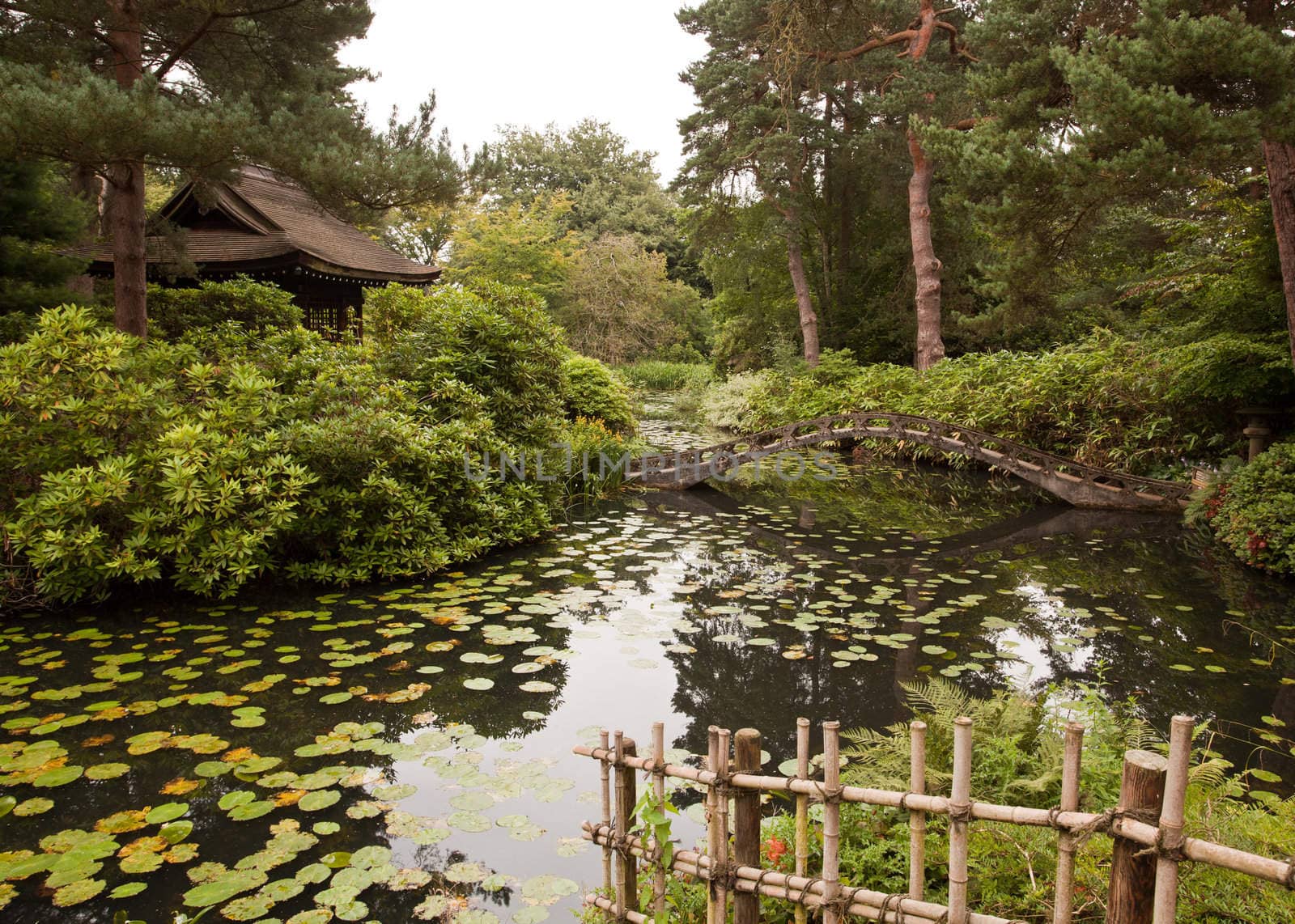 Ornate bridge in Japanese garden