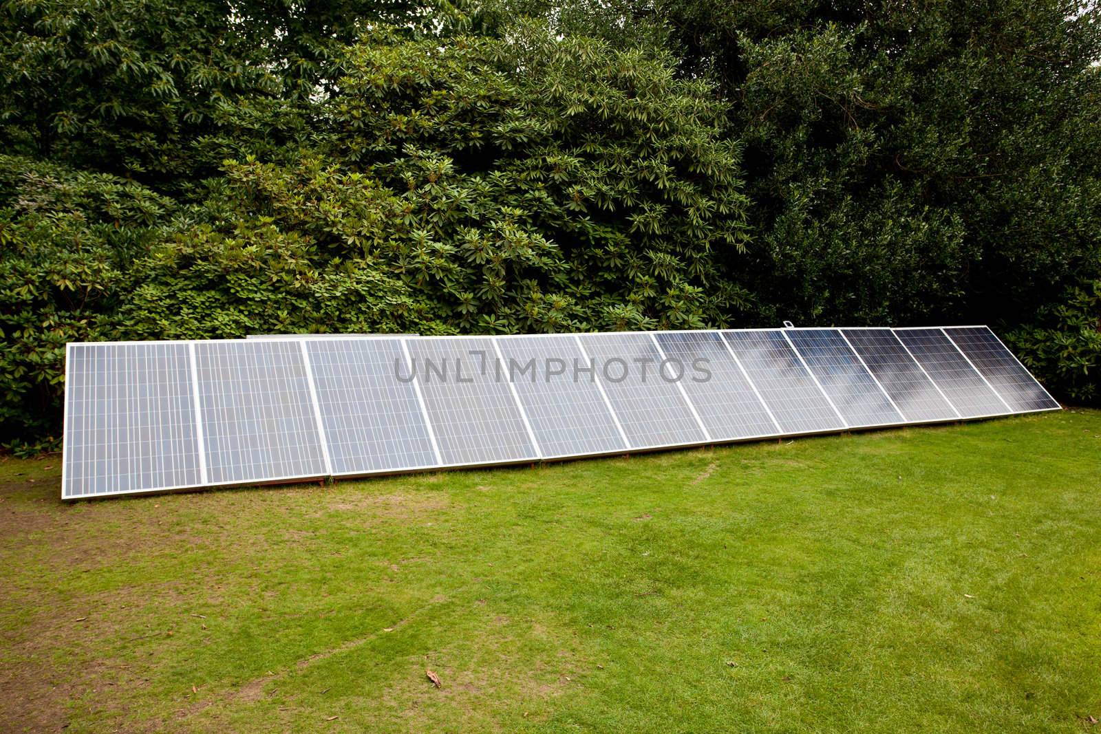 Row of solar panels beside garden hedge facing the sun