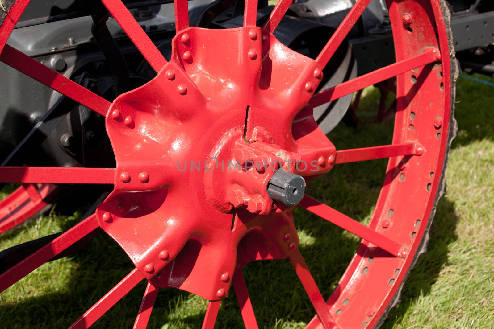 Old red farm wheel by steheap