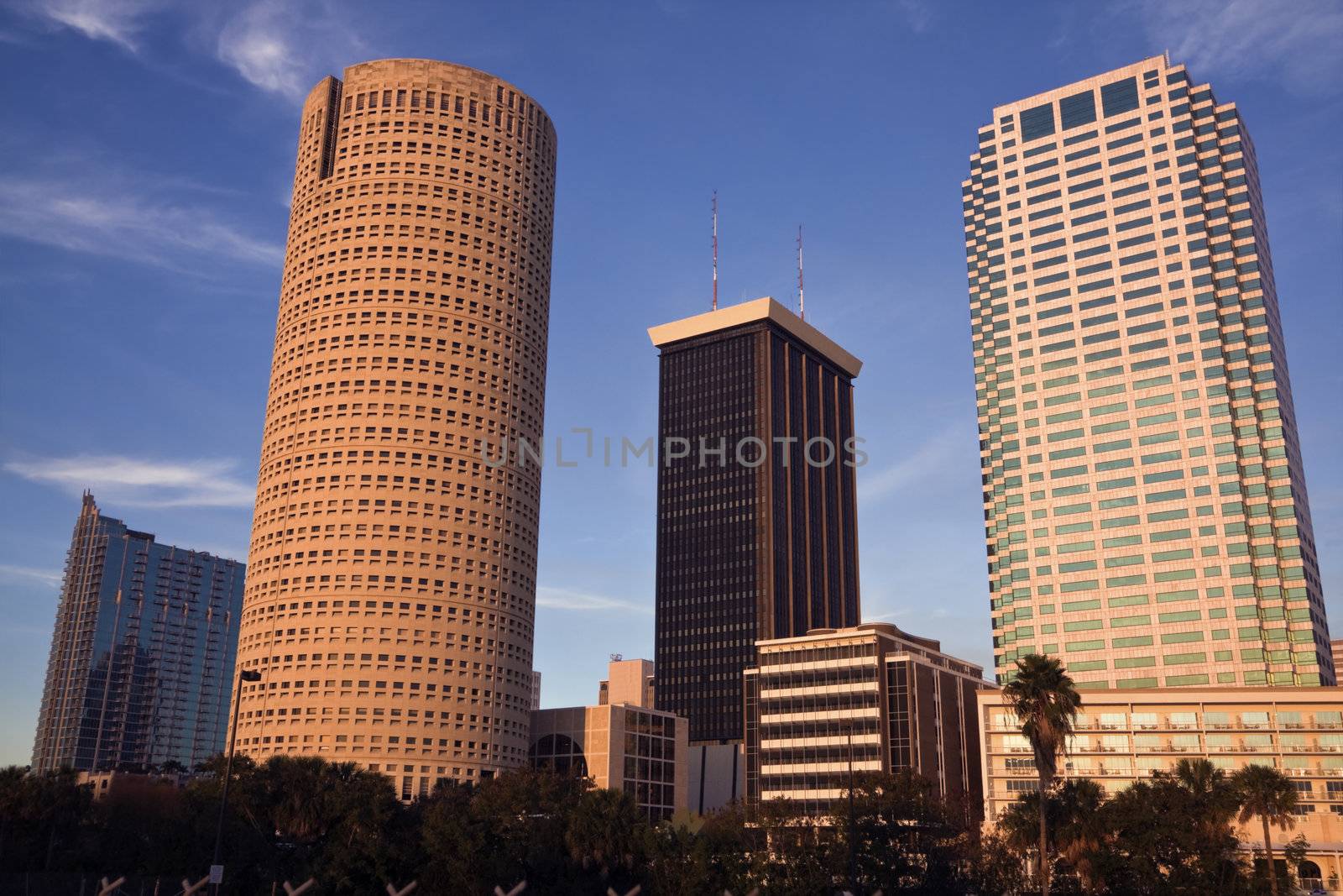 Afternoon in Downtown of Tampa, Florida, USA