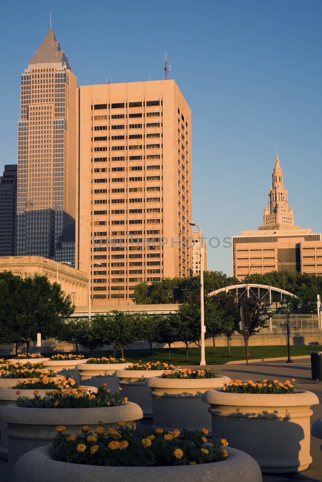 Flowers in downtown Cleveland by benkrut