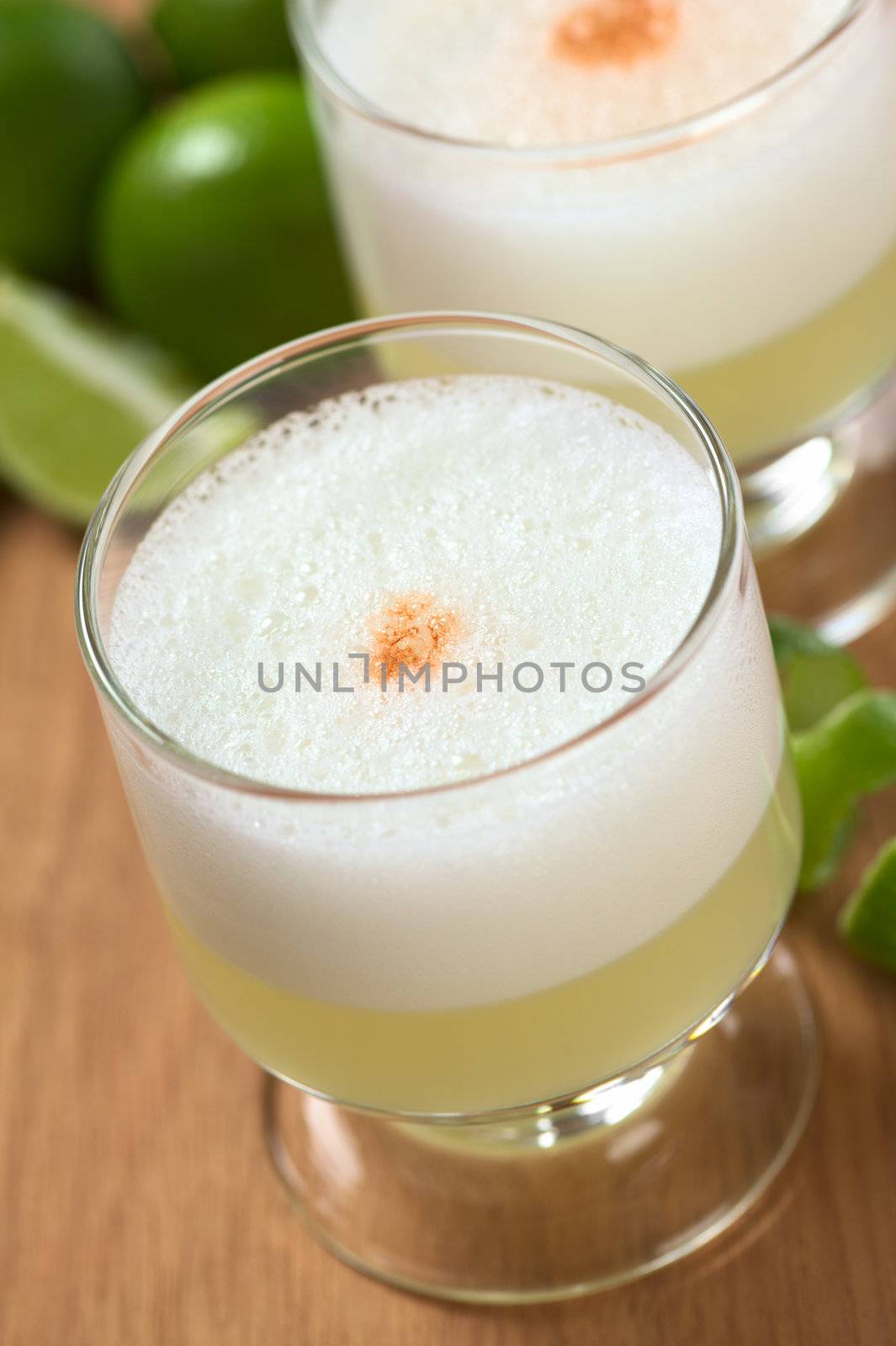 Peruvian cocktail called Pisco Sour made of Pisco (Peruvian grape schnaps), lime juice, syrup, egg white, and some angostura (bitter fluid) drops on top (Selective Focus, Focus on the middle of the angostura)