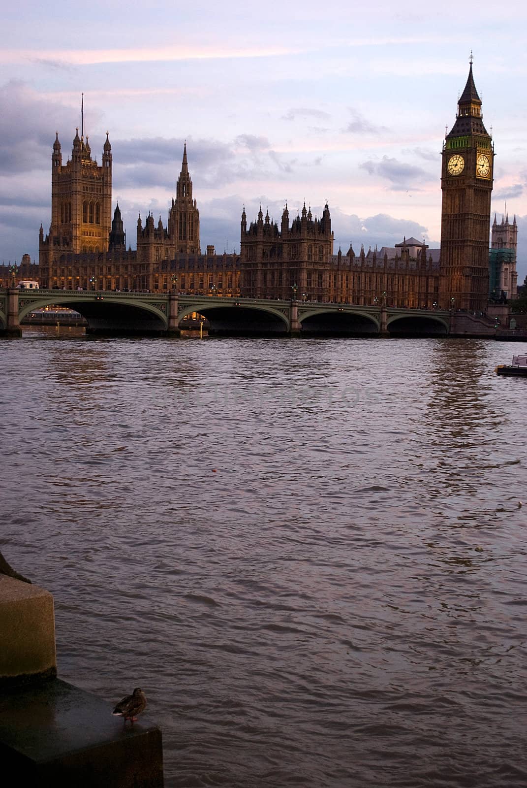 Big Ben and Parliament at sunset light