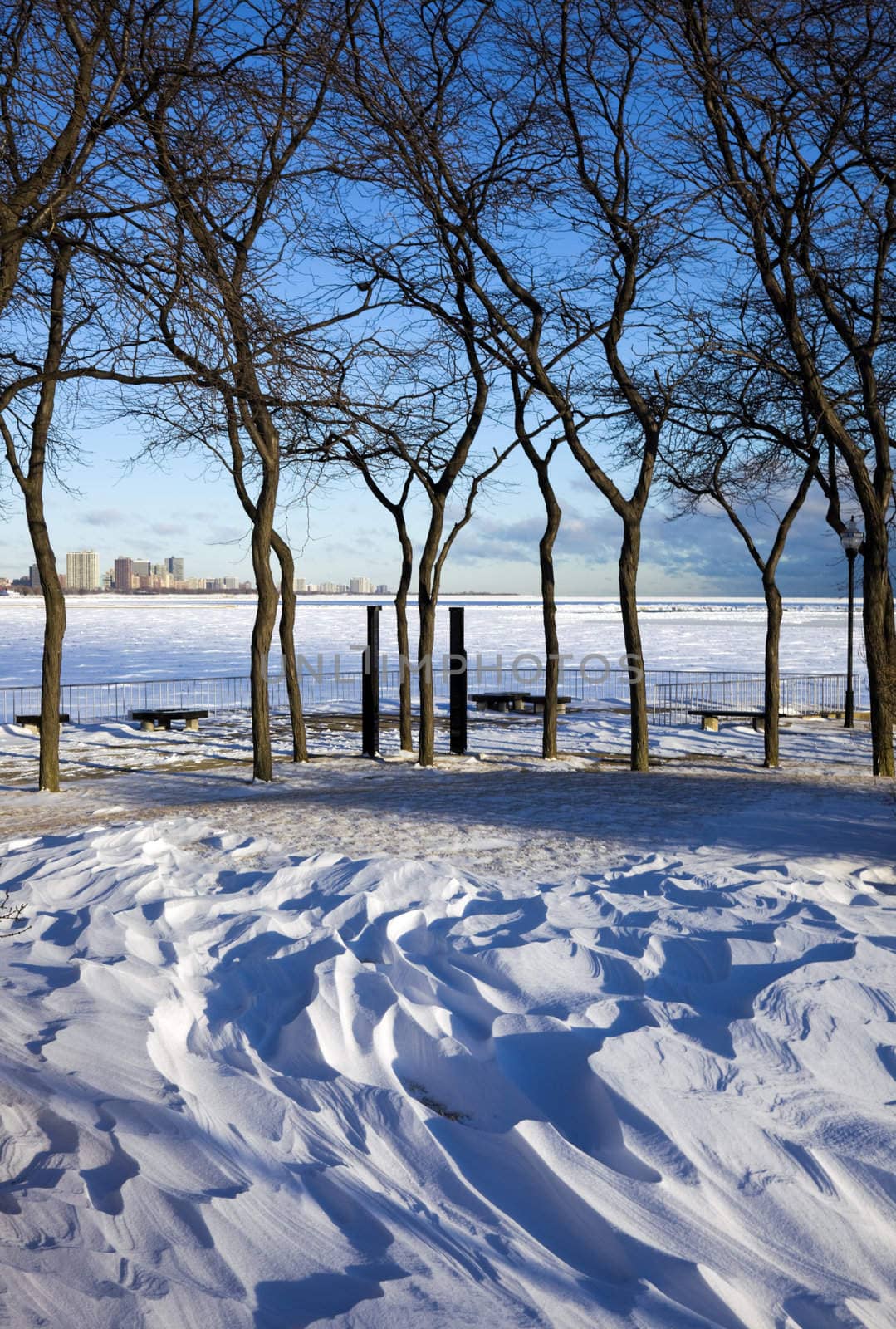 Winter in the park in Chicago  
