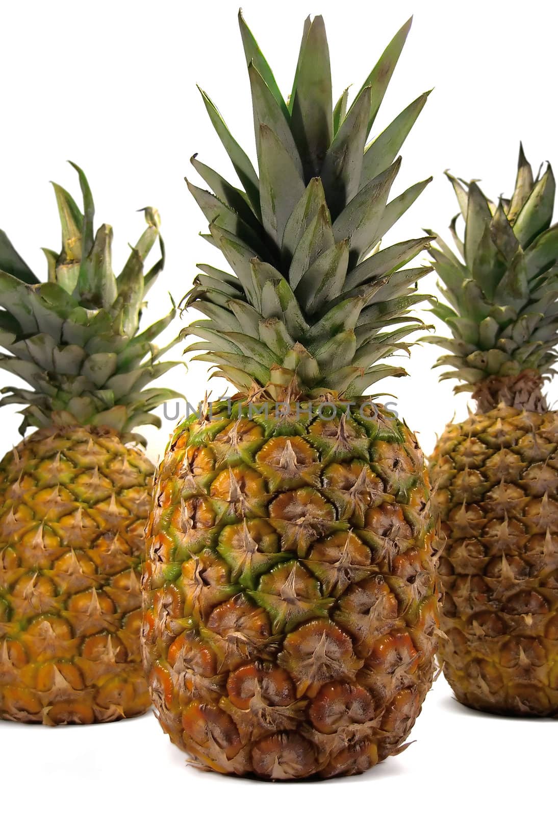 Three pineapples on a vertical position aligned on a white background.