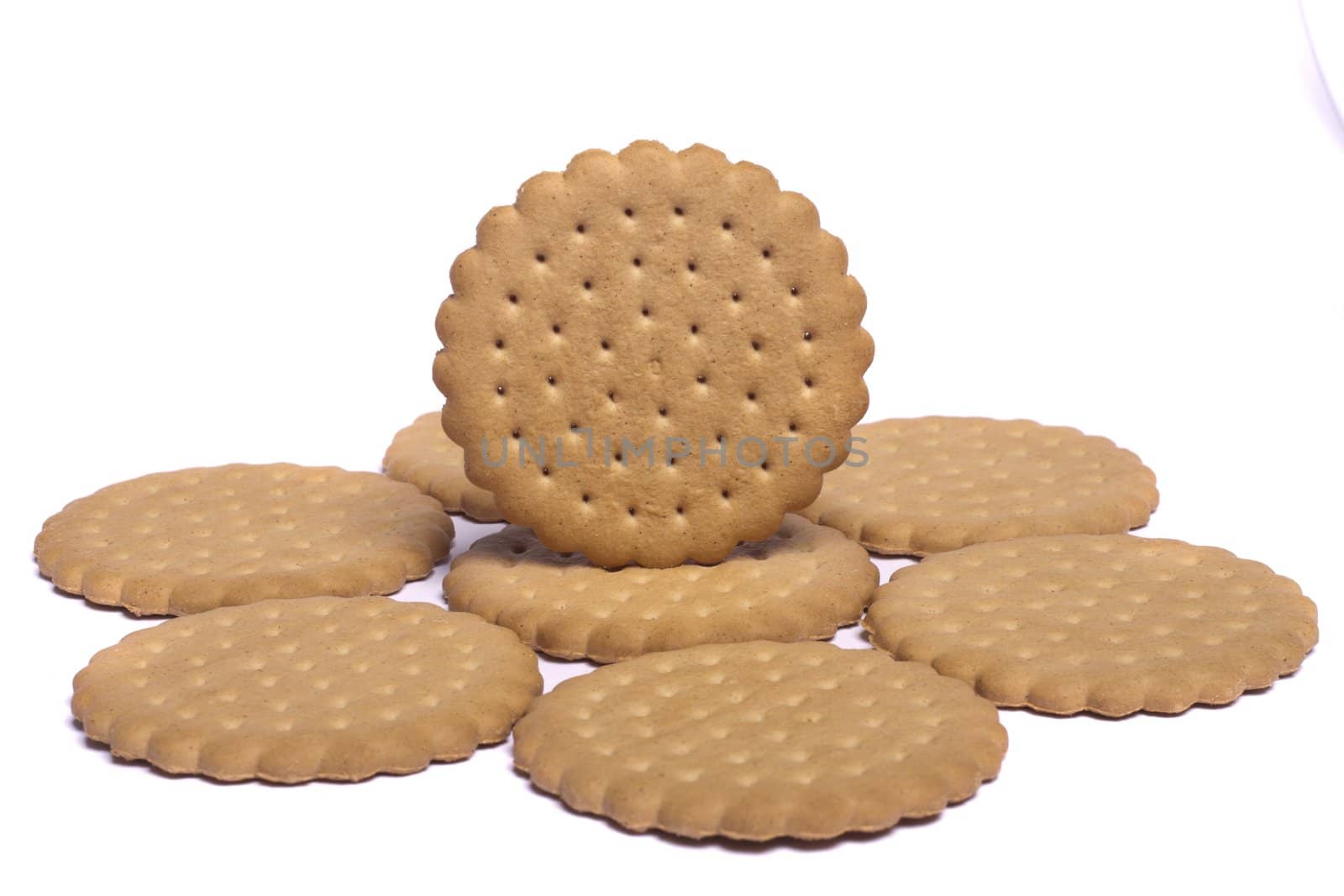 View of a circle of round biscuits isolated on a white background.