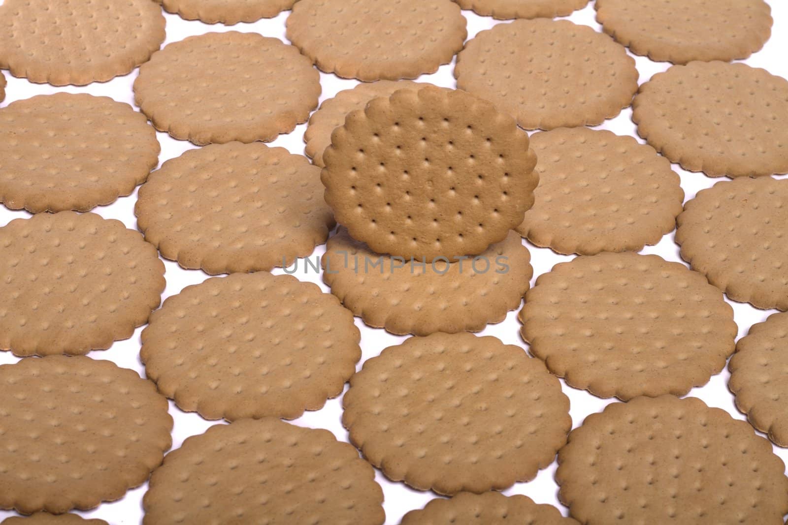 View of many round biscuits isolated on a white background.