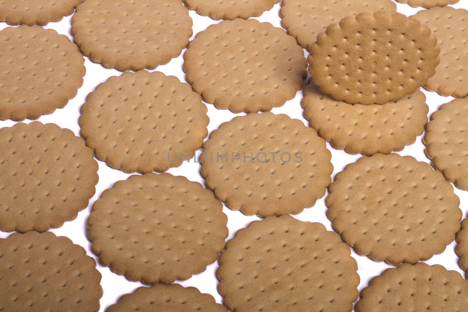 View of many round biscuits isolated on a white background.