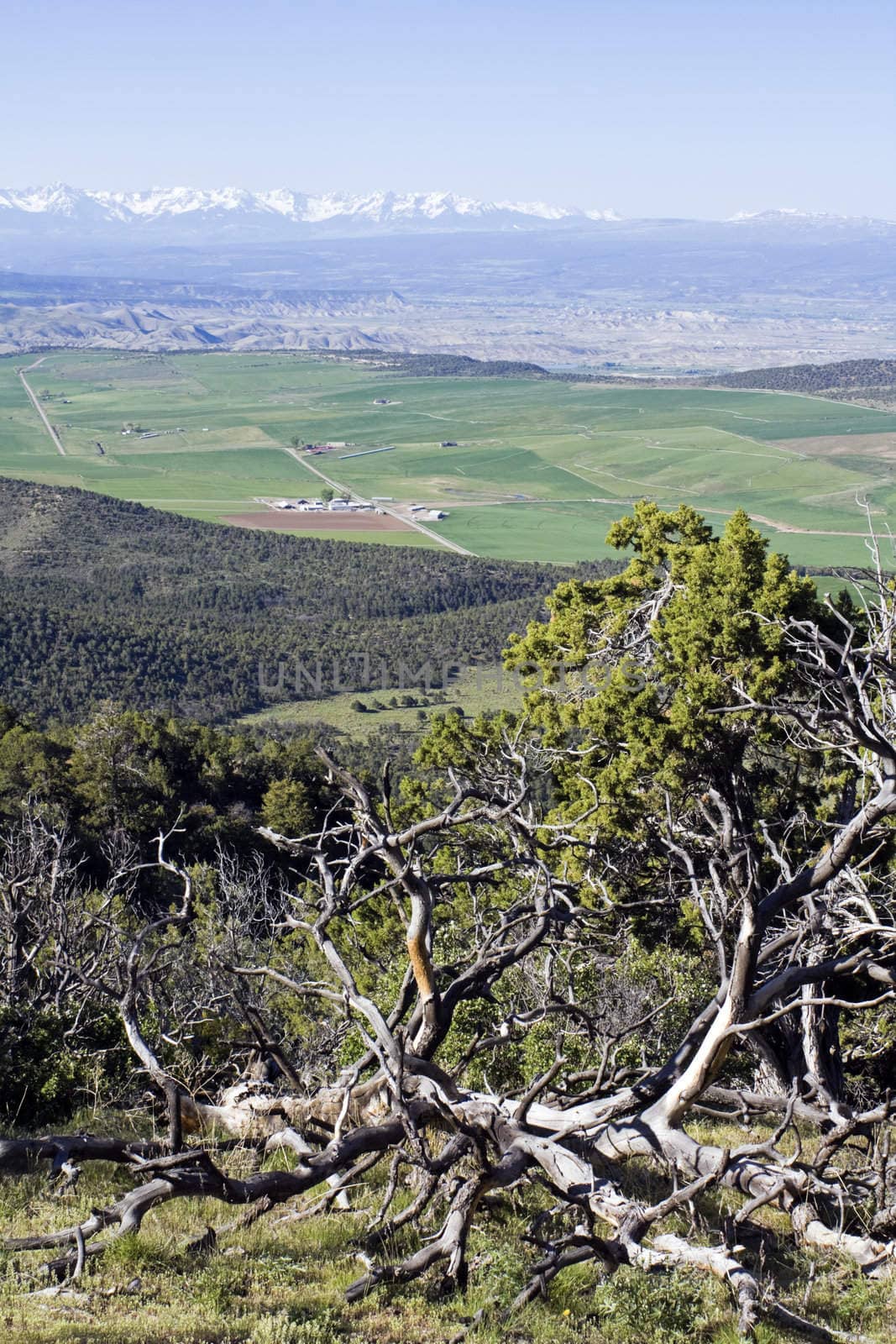 Colorado - Gunnison and Montrose area