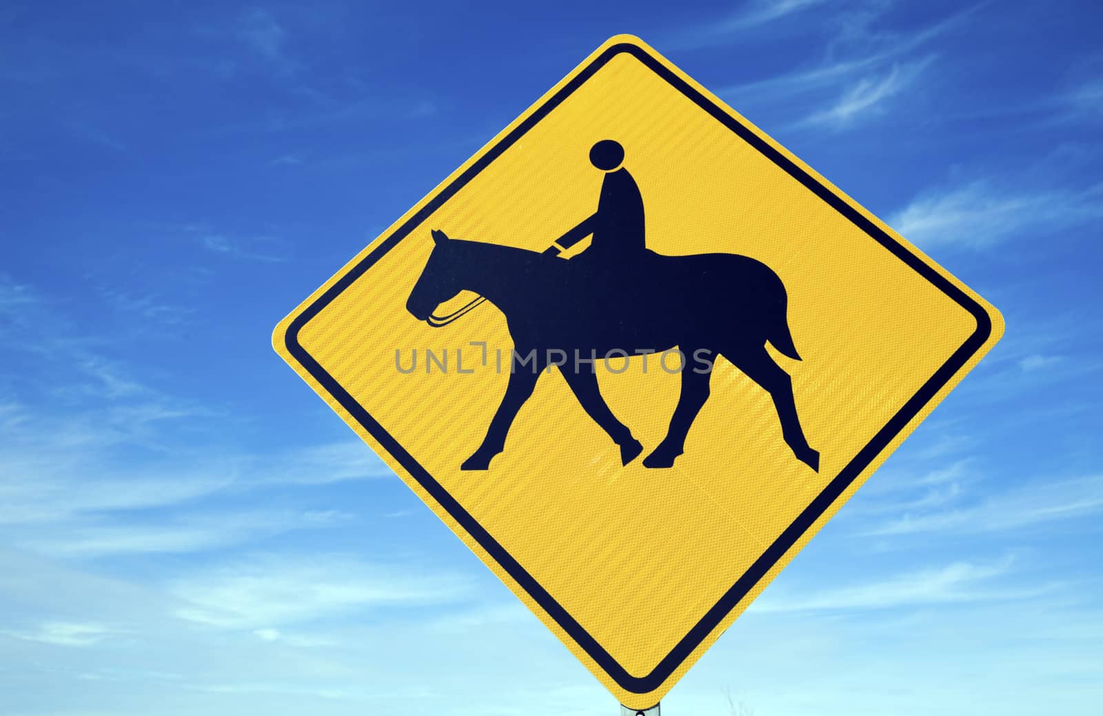 Horseback Riding sign against blue sky.