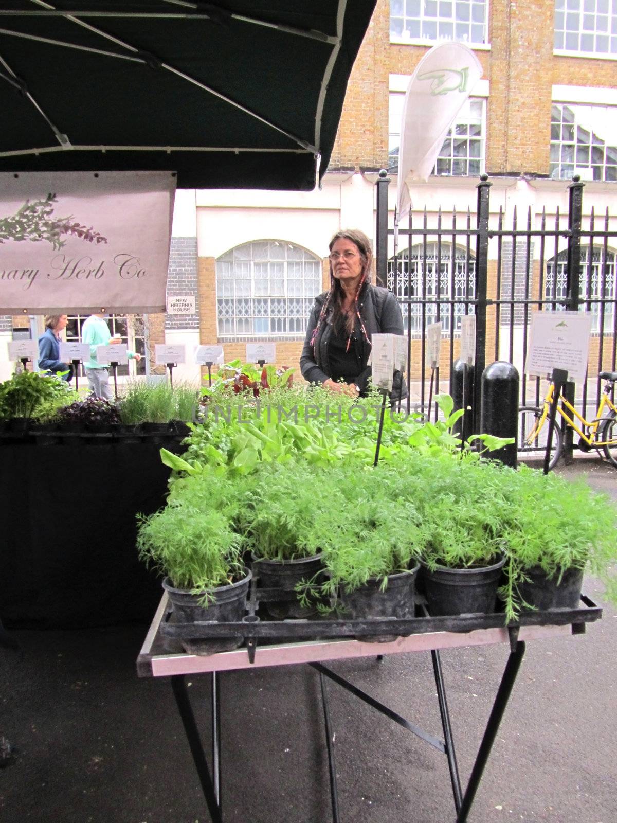 Unidentified woman waiting to be served at a herb stall in Borou by green308