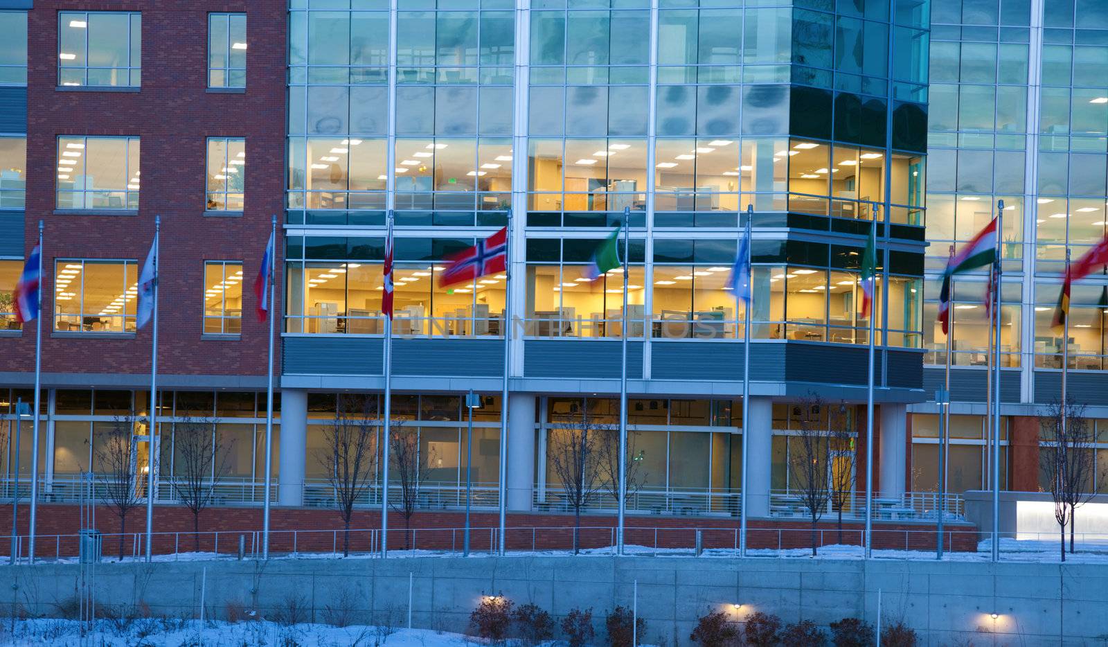 Flags in front of the office building by benkrut