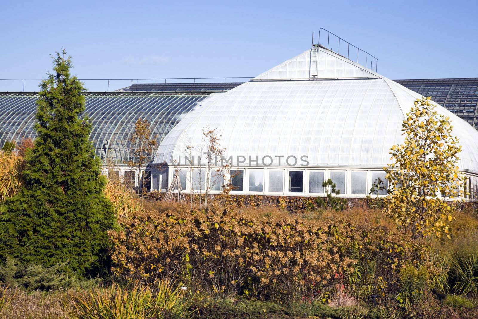 Garfield Park Conservatory  by benkrut