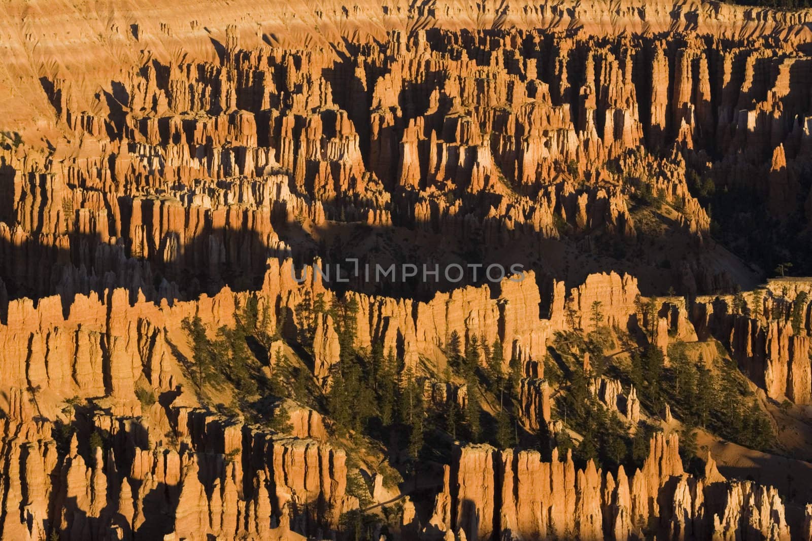 Bryce Canyon National Park in Utah - morning time.