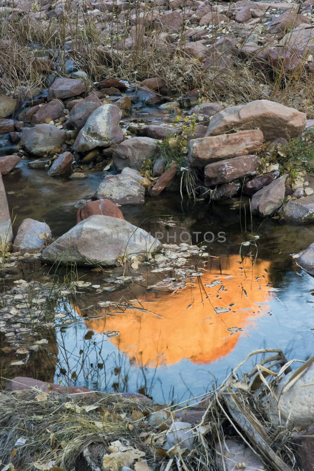 Reflection seen in Zion National Park, Utah