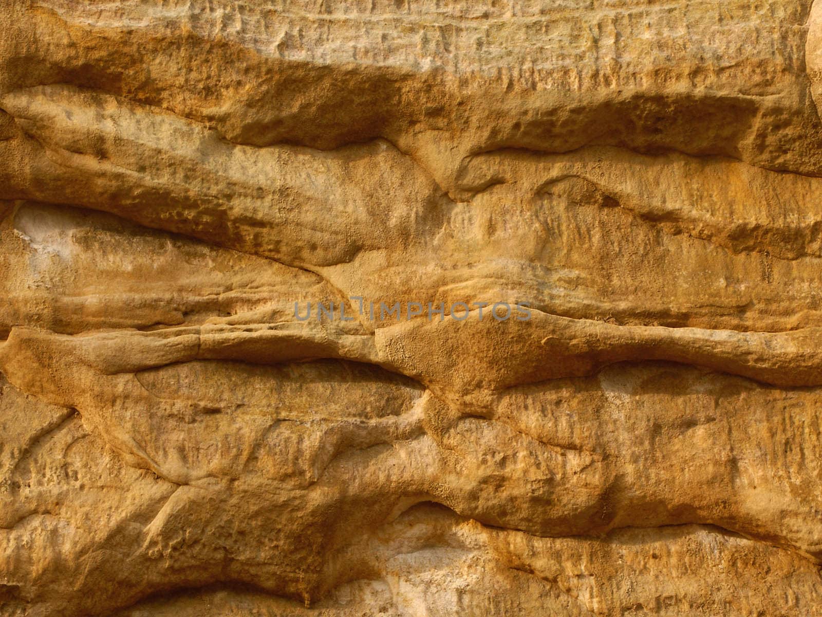 Closeup of rock wall at Buffalo Rock State Park in Illinois.