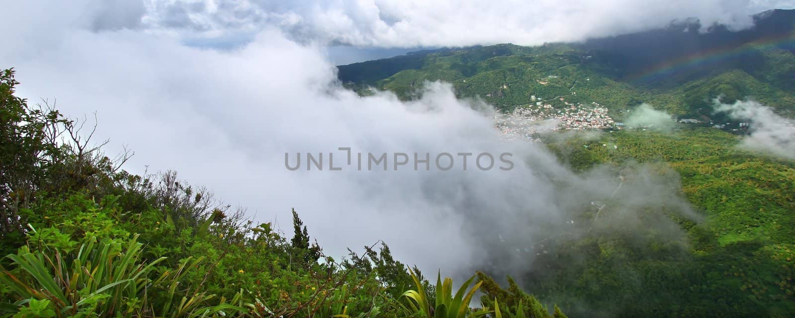 View of Saint Lucia from the cloud covered summit of the Petit Piton - Saint Lucia.