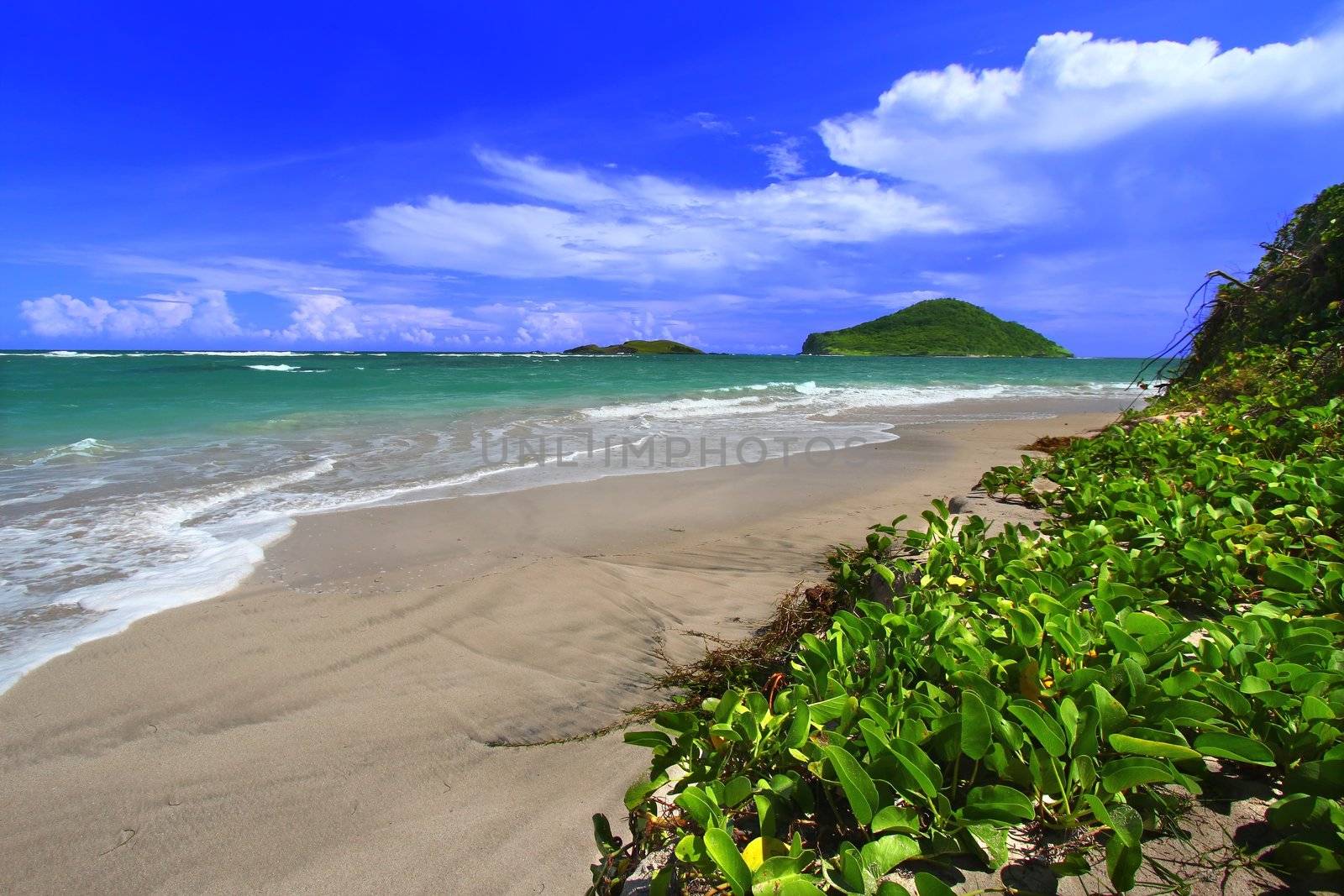 Beach on Saint Lucia by Wirepec